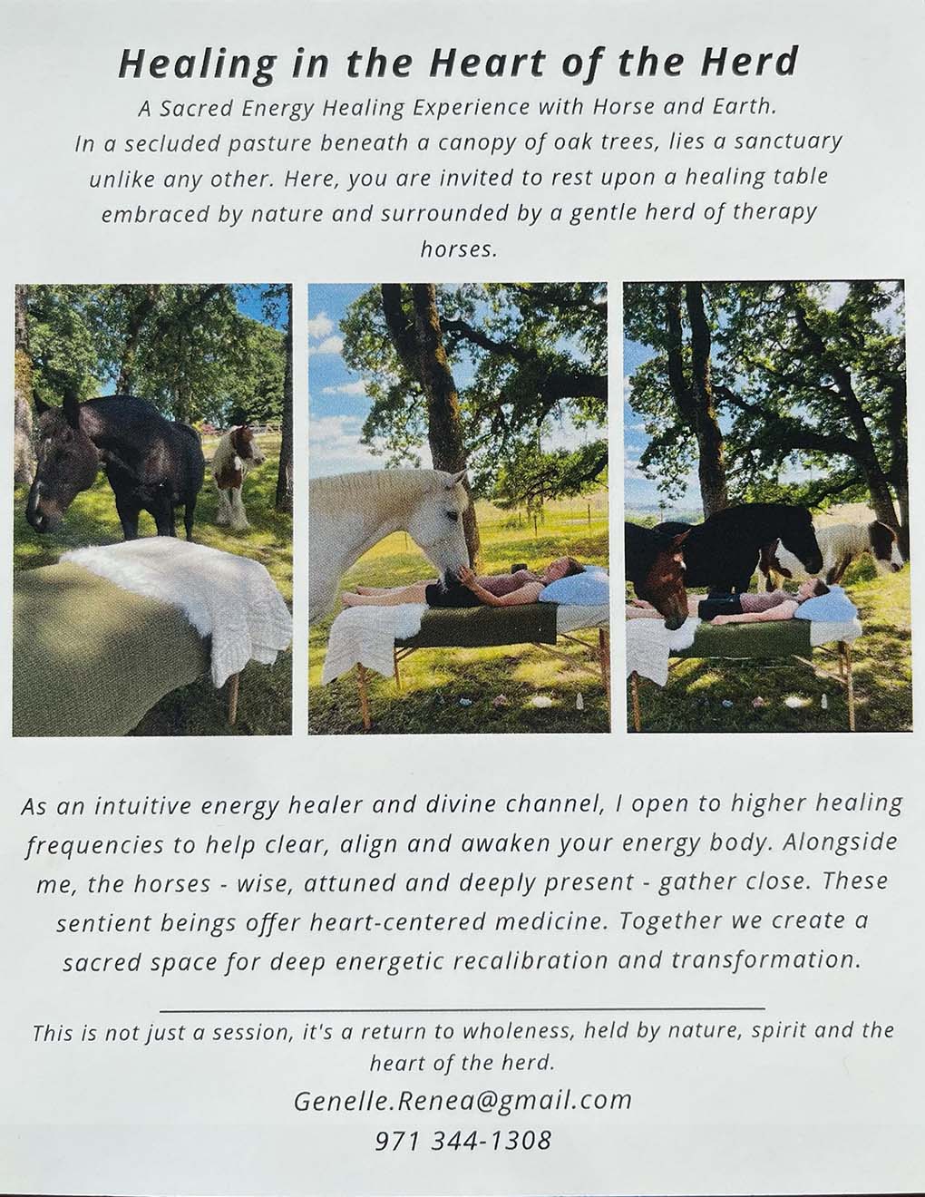 Heart of the Herd healing experience with horses and earth